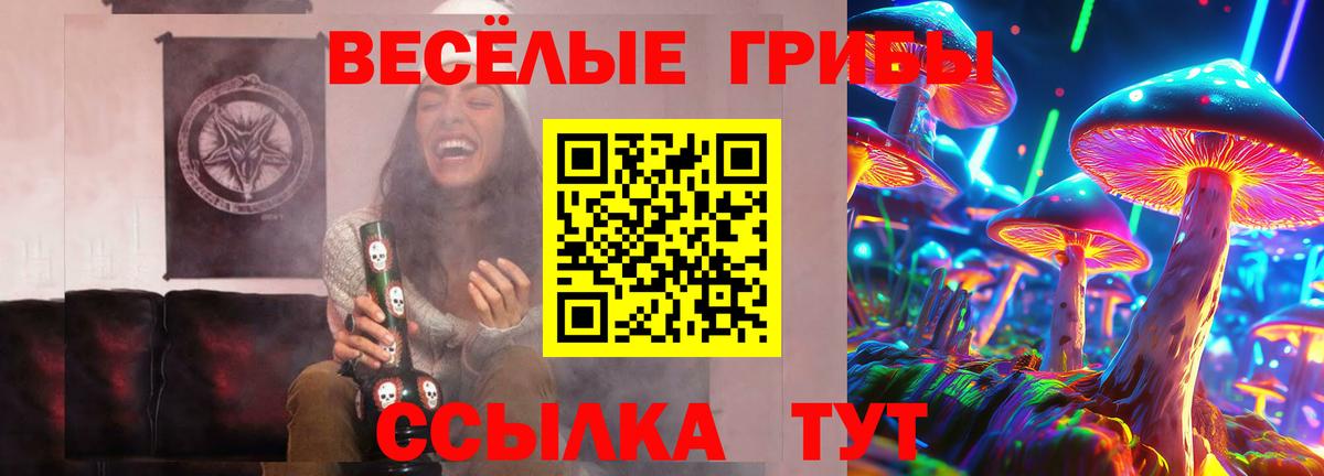 Заринск  Псилоцибиновые грибы Psilocybine cubensis  купить наркоту  Вход с VPN 